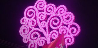 Foto: ENATREL ilumina Managua con el encendido del Árbol de la Vida y letras del FSLN/TN8