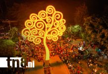 Árboles de la Vida iluminan Nicaragua en saludo al 19 aniversario del Pueblo Presidente Foto: Árboles de la Vida iluminan Nicaragua en saludo al 19 aniversario del Pueblo Presidente/TN8