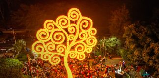 Foto: Árboles de la Vida iluminan Nicaragua en saludo al 19 aniversario del Pueblo Presidente/TN8