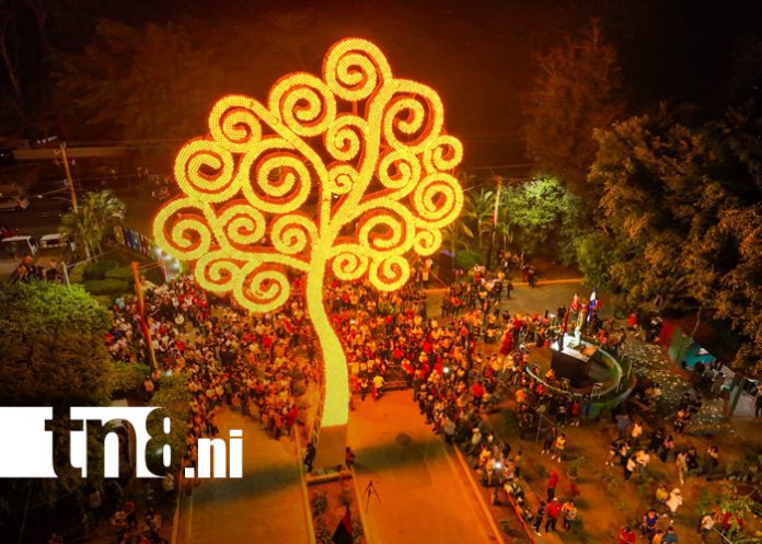 Foto: Árboles de la Vida iluminan Nicaragua en saludo al 19 aniversario del Pueblo Presidente/TN8