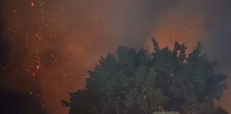 Foto: Incendio alarma a familias en colegio de Ciudad Sandino/TN8