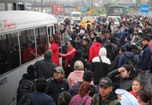 Foto: Transportistas alzan la voz en Perú /cortesía