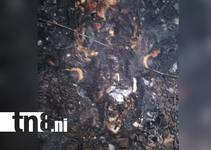 Foto: Ancianito muere calcinado junto a su mascota en un voraz incendio en ManaguaTN8
