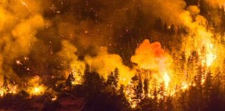 Foto: Estado de Catástrofe en Chile: autoridades llaman a la calma/cortesía