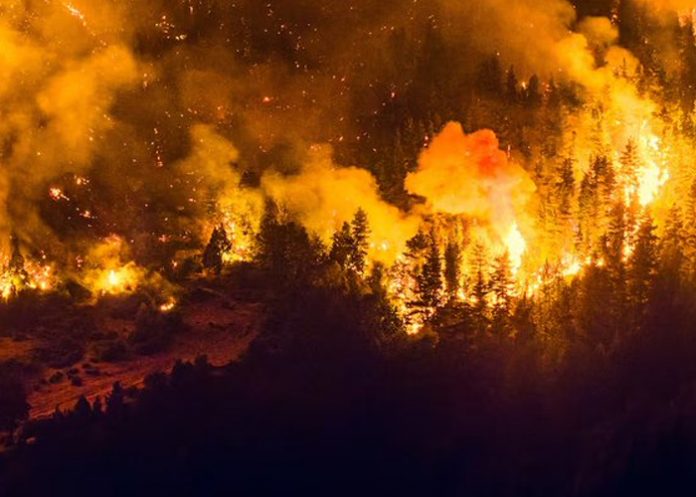 2 Foto: Estado de Catástrofe en Chile: autoridades llaman a la calma/cortesía