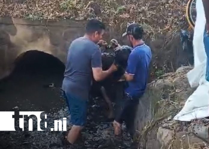 Foto:Misterio y luto: hombre hallado muerto en un cauce, en carretera a Tipitapa/TN8