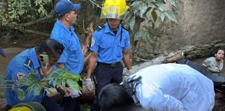 Foto: Conductor en estado de ebriedad muere en accidente vial en Jalapa, Nueva Segovia/TN8