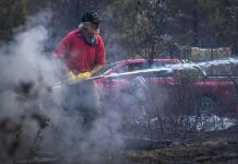 Incendios en Chubut: denuncian congelamiento de fondos para proteger bosques Foto: Chubut arde mientras fondos ambientales siguen retenidos/Cortesía