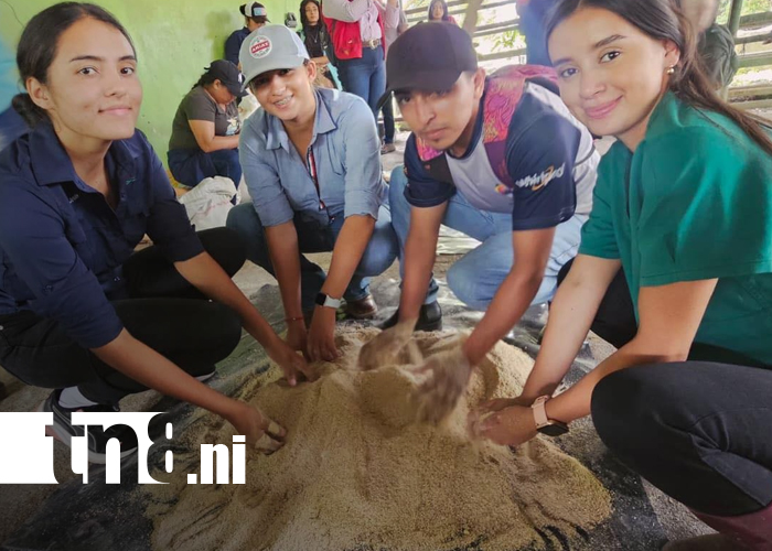 Foto: Educación técnica fortalece la producción rural en Muy Muy/TN8