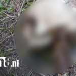 Foto: Desaparecido hallado en Jalapa tras un mes de búsqueda/TN8