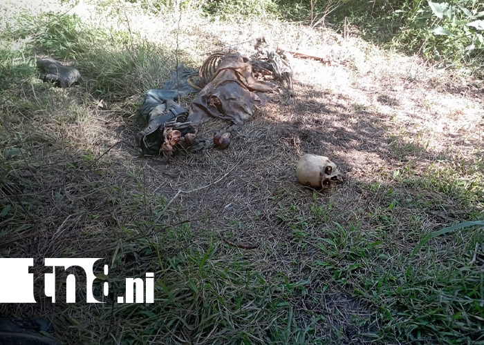 Foto: Desaparecido hallado en Jalapa tras un mes de búsqueda/TN8