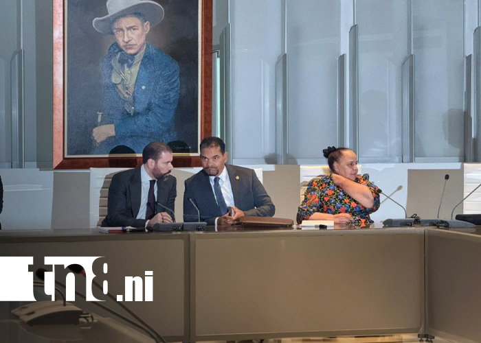 Foto: Nicaragua y Sudáfrica, aliados sólidos que fortalecen con mayor fuerza sus relaciones bilaterales/TN8