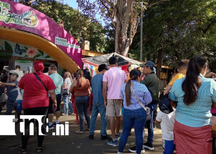 Foto: Diversión en el Zoológico Nacional /TN8