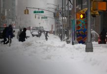 Foto: Estados Unidos bajo hielo /cortesía