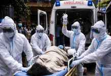 OMS advierte sobre el peligroso virus Nipah que se propaga en India Foto: El virus Nipah amenaza a la India sin vacuna ni cura /Cortesía