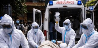 Foto: El virus Nipah amenaza a la India sin vacuna ni cura /Cortesía