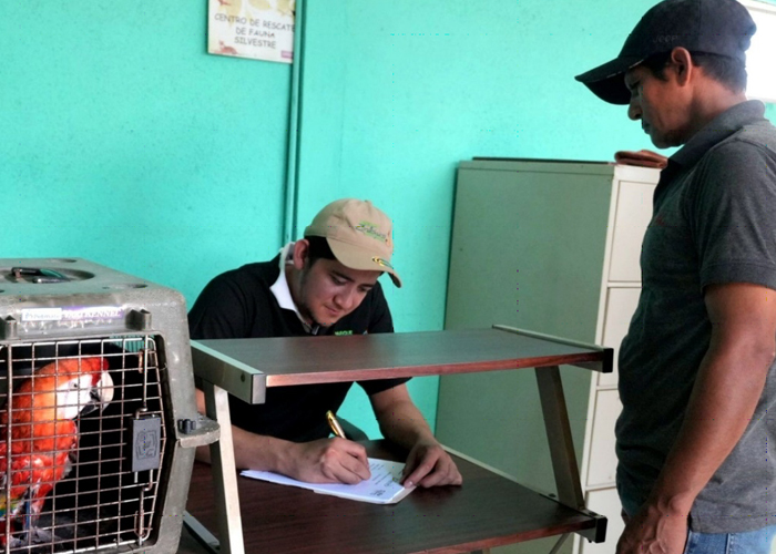 Foto: Rescate y conservación: MARENA protege la fauna silvestre en Nicaragua/Cortesía