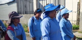 Foto: MINSA le pone fin al zancudo en el barrio Santa Elena / TN8
