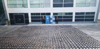 Foto: Operación anti-drogas en Colombia /cortesía
