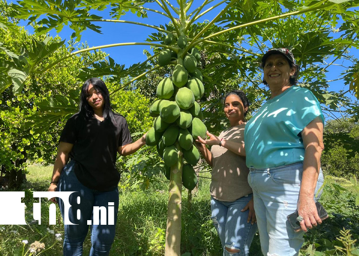 Foto: Matrículas 2026 impulsan la educación técnica en Chontales/TN8