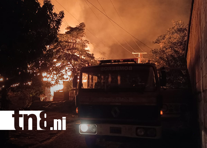 Foto: Incendio destruye por completo establecimiento de polines/TN8