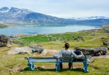 10 datos de Groenlandia, la isla más grande del mundo que Trump ambiciona Foto: 10 datos curiosos sobre Groenlandia /Cortesía