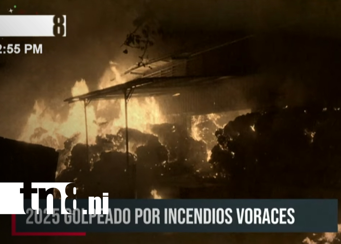 Foto: Incendios en Nicaragua 2025: los siniestros que marcaron el año/TN8