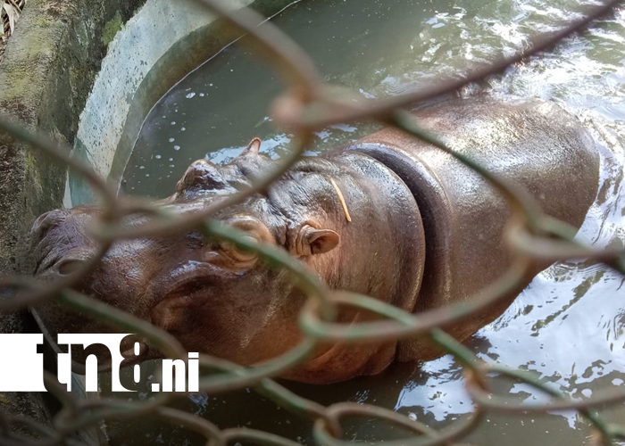 Foto: Diversión en el Zoológico Nacional /TN8