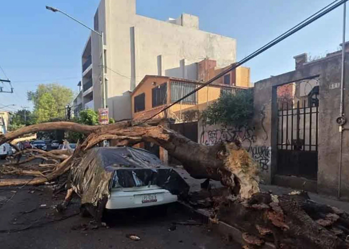Foto: Fuerte sismo de 6,5 sacude Guerrero y Ciudad de México, dejando dos muertos/Cortesía