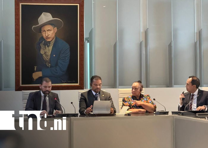 Foto: Nicaragua y Sudáfrica, aliados sólidos que fortalecen con mayor fuerza sus relaciones bilaterales/TN8