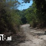 Foto: Familiares intensifican búsqueda de adolescente desaparecido en León / TN8