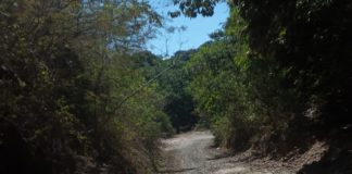 Foto: Familiares intensifican búsqueda de adolescente desaparecido en León / TN8