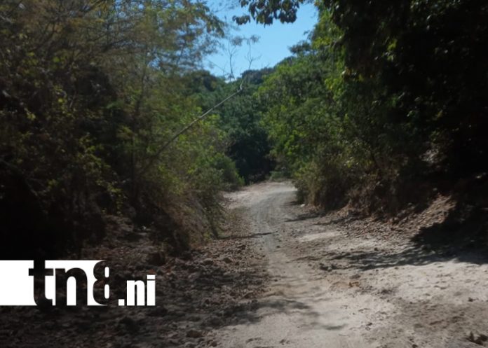 Foto: Familiares intensifican búsqueda de adolescente desaparecido en León / TN8