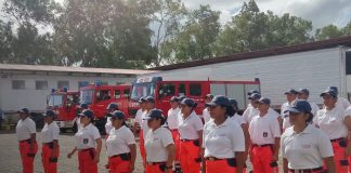 Foto: Bomberos en entrenamiento continuo /TN8