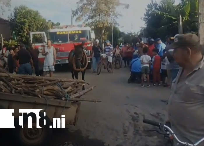 Foto: Caballo descontrolado provoca fuerte accidente en Belén, Rivas/TN8