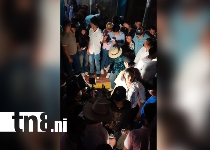 Foto: La violencia que mata: un caballo pierde la vida tras presunto maltrato en Tipitapa/TN8