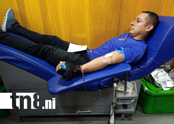 Foto: Donación de sangre salva vidas /TN8
