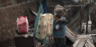 Foto: Grave emergencia por incendios forestales afecta a Chile/Cortesía