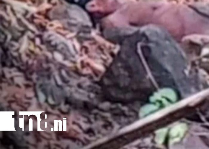 Foto: Localizan cadáver en estado de descomposición en Carazo /TN8