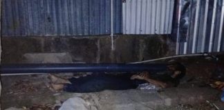 Foto: Atropellamiento mortal en Nueva Libia deja a adulto mayor fallecido/TN8