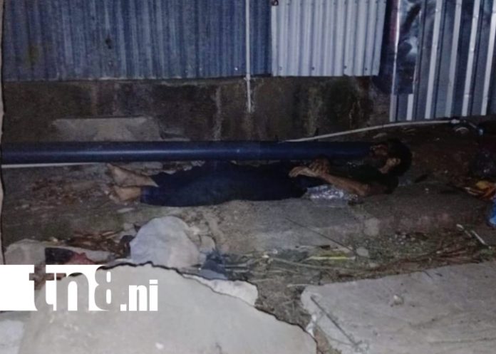 Foto: Atropellamiento mortal en Nueva Libia deja a adulto mayor fallecido/TN8