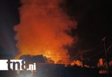 Foto: Incendio destruye por completo establecimiento de polines/TN8