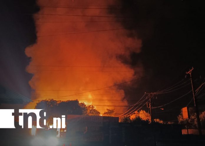 Foto: Incendio destruye por completo establecimiento de polines/TN8