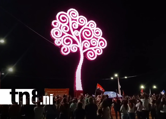 Foto: Árboles de la Vida iluminan Nicaragua en saludo al 19 aniversario del Pueblo Presidente/TN8