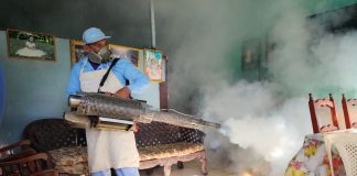 Foto: Brigadas médicas recorren barrios de Managua para prevenir enfermedades antiepidémica / TN8