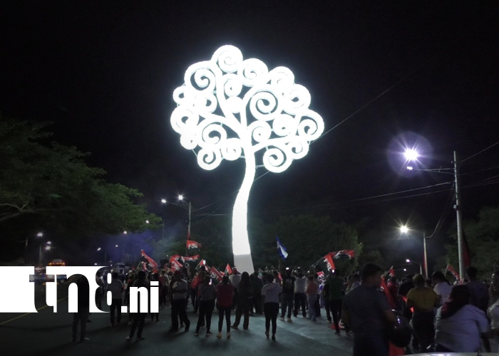 Foto: Árboles de la Vida iluminan Nicaragua en saludo al 19 aniversario del Pueblo Presidente/TN8
