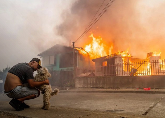 Foto: Grave emergencia por incendios forestales afecta a Chile/Cortesía