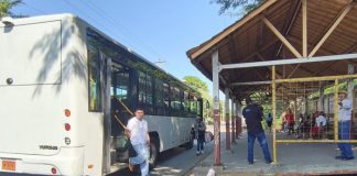 Foto: ‎Adulto mayor sufre caída al bajar de una ruta /TN8