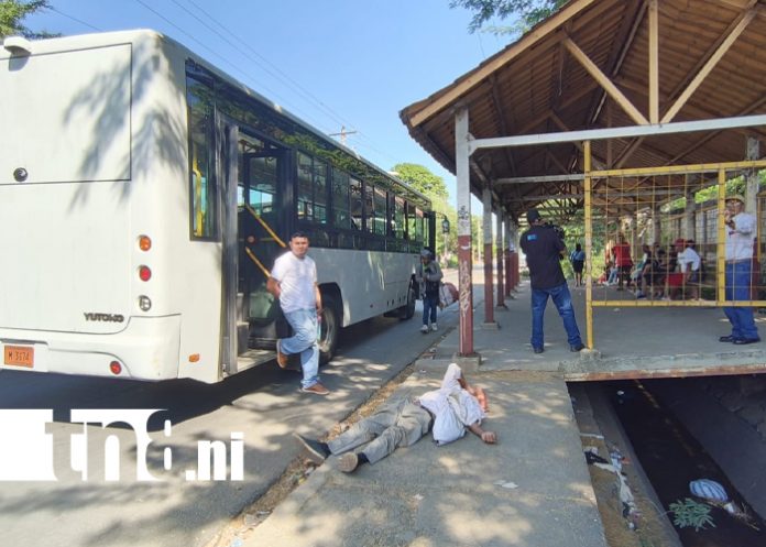 Foto: ‎Adulto mayor sufre caída al bajar de una ruta /TN8
