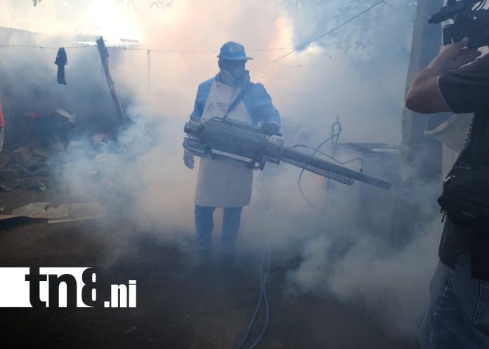 Foto: Brigadas médicas intensifican lucha contra el dengue en Managua / TN8